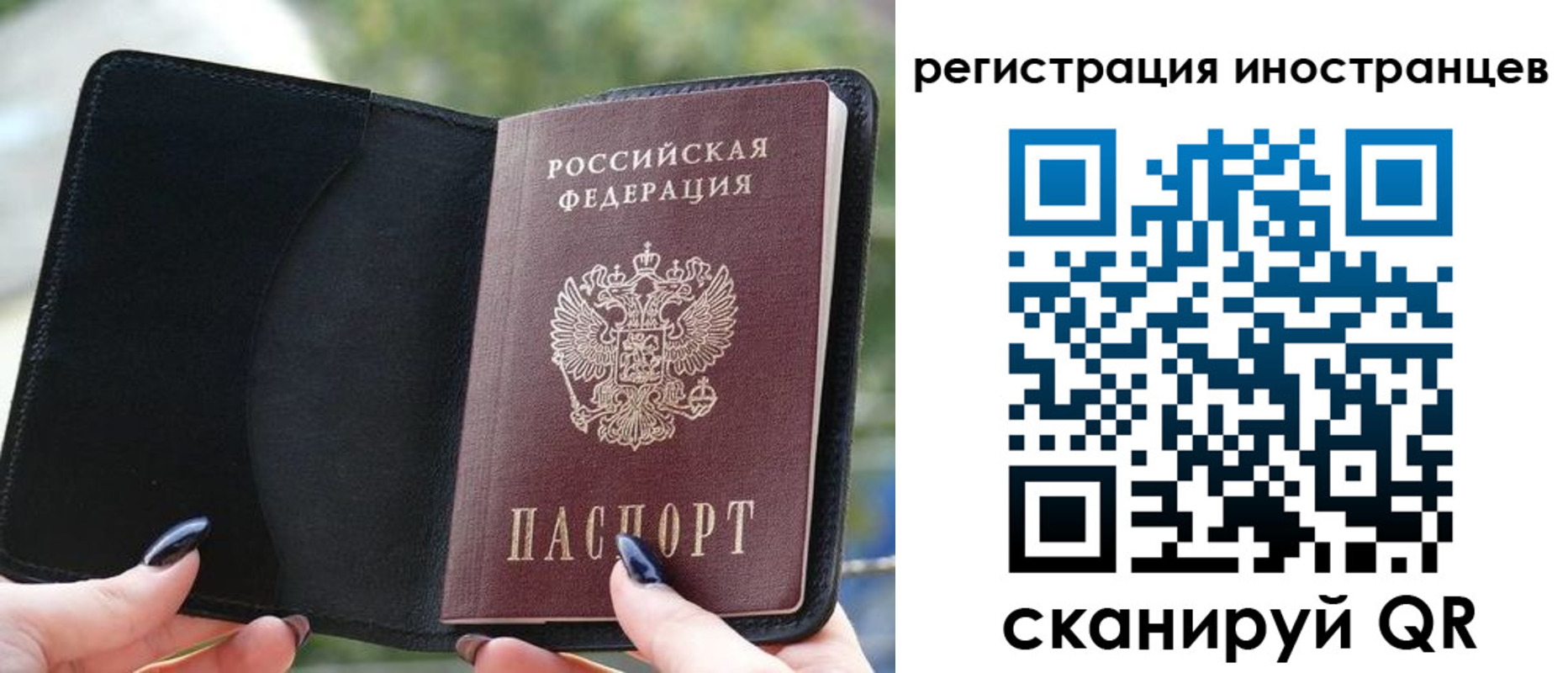 найти адрес прописки в Волхове